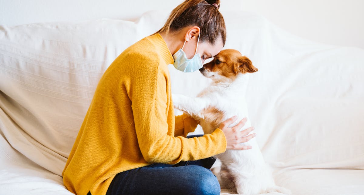 Veterinária recomenda alguns cuidados com os animais de estimação em face ao novo coronavírus.